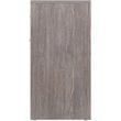 Winsome Molina 2-Drawer Transitional Wood End Table in Ash Gray