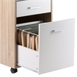 Winsome Kenner 3-Drawer Wooden Mobile File Cabinet in Reclaimed Wood and White