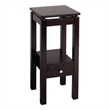 Winsome Linea Transitional Solid Wood End Table with Chrome Accents in Espresso