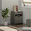 Winsome Filing Contemporary Wood Storage Cabinet in Charcoal