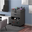 Norfolk 6 Bins 2 Drawer Mobile Cabinet Black Finish