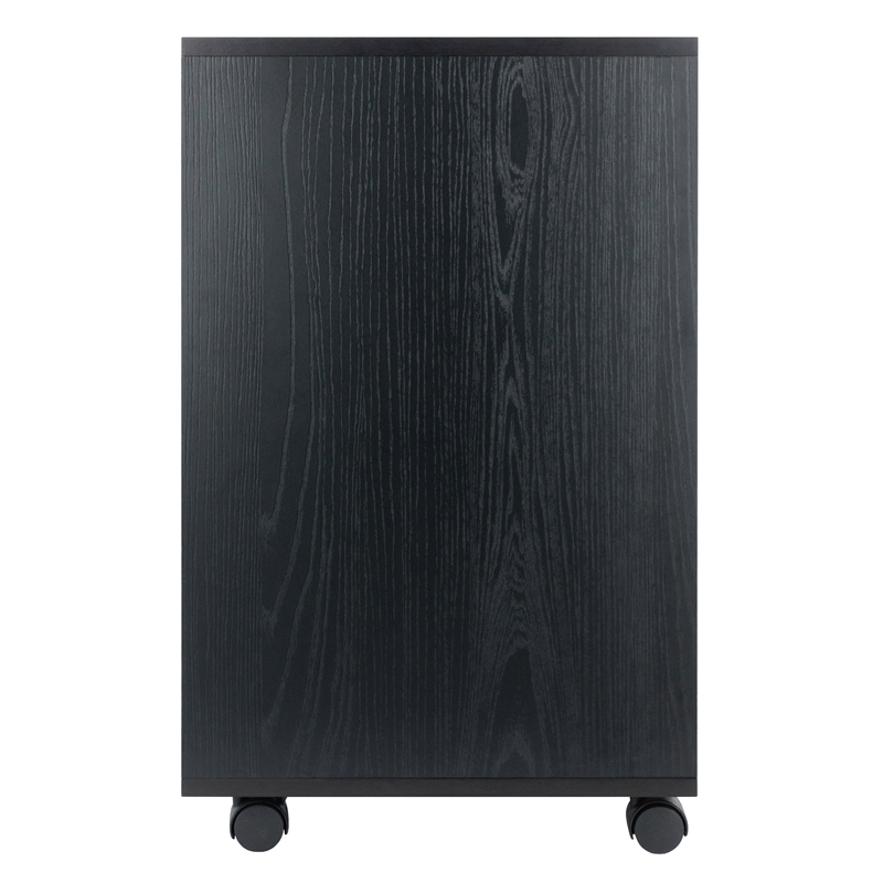 Norfolk 6 Bins 2 Drawer Mobile Cabinet Black Finish