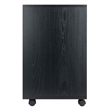 Norfolk 6 Bins 2 Drawer Mobile Cabinet Black Finish