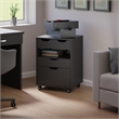 Norfolk 4 Bins 2 Drawer Mobile Cabinet Black Finish