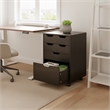 Norfolk 4 Bins 2 Drawer Mobile Cabinet Black Finish