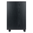 Norfolk 4 Bins 2 Drawer Mobile Cabinet Black Finish