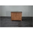 Crafters and Weavers Arts and Crafts 2-Door Solid Wood Cabinet in Walnut