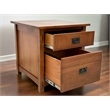 Crafters and Weavers Mission Quarter Sawn Oak File Cabinet in Walnut