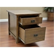 Crafters and Weavers Mission Quarter Sawn Oak File Cabinet in Walnut