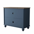LIVILAND 2 Piece Floral Storage Buffet Sideboard Set (55 & 38) in Navy Blue