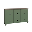 LIVILAND 55