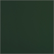 LIVILAND 55