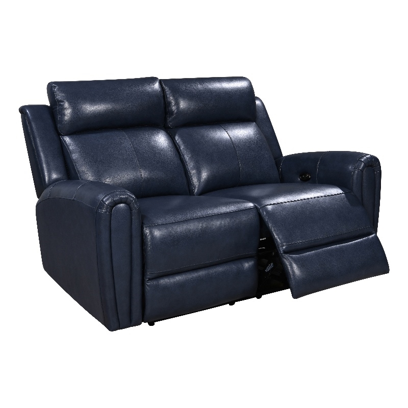 Leather Lusso Kona Modern Genuine Leather & Hardwood Loveseat in Blue