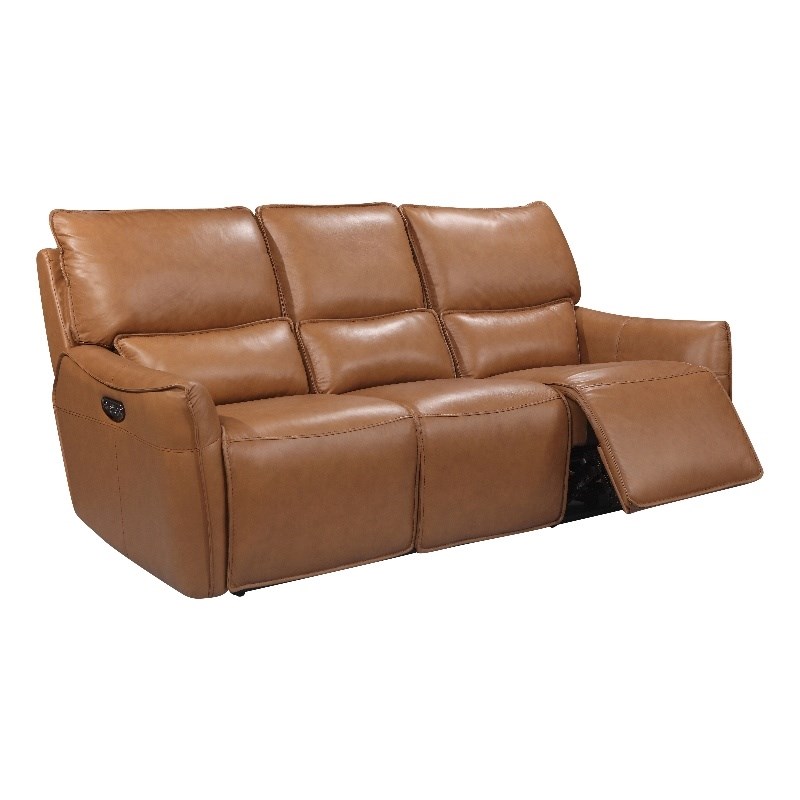 Leather Lusso Carter Modern Genuine Leather & Hardwood Sofa in Desert Brown