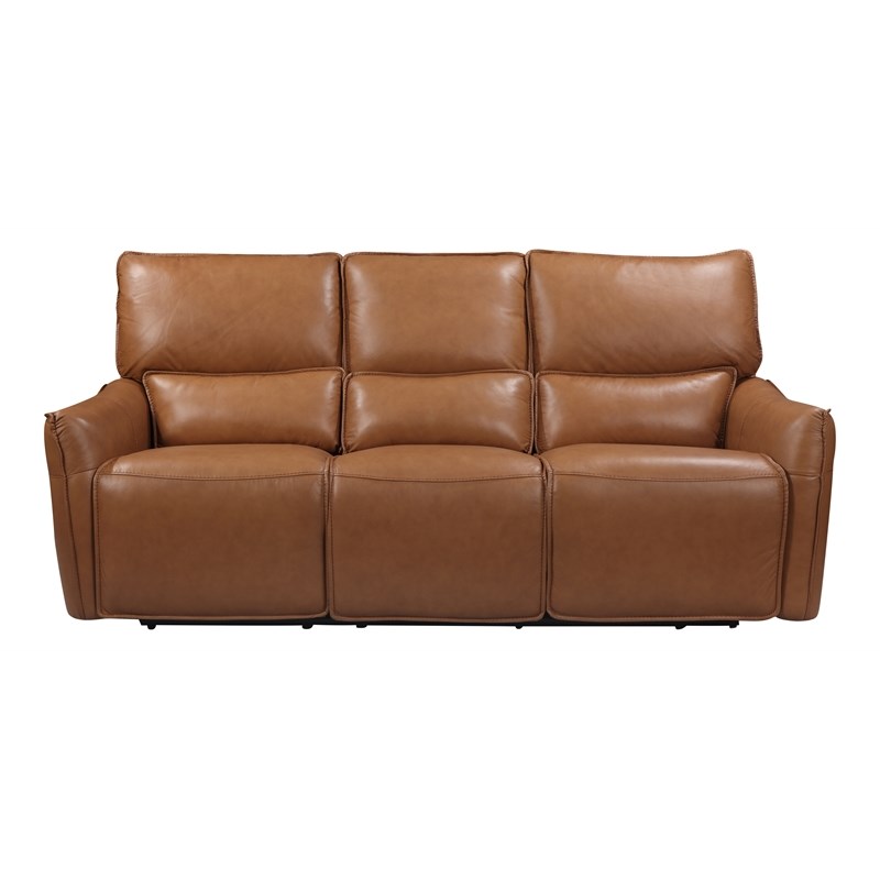 Leather Lusso Carter Modern Genuine Leather & Hardwood Sofa in Desert Brown
