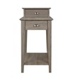 Gallerie Decor All-In-One Transitional Wood Tierra Side Table in Gray