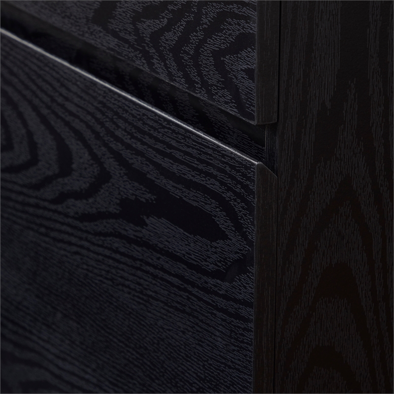 Kowo 2-Drawer Engineered Wood/Metal File Cabinet with Lock in Black