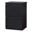 Kowo 2-Drawer Engineered Wood/Metal File Cabinet with Lock in Black