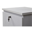 Kowo 2-Drawer Engineered Wood/Metal File Cabinet with Lock in White