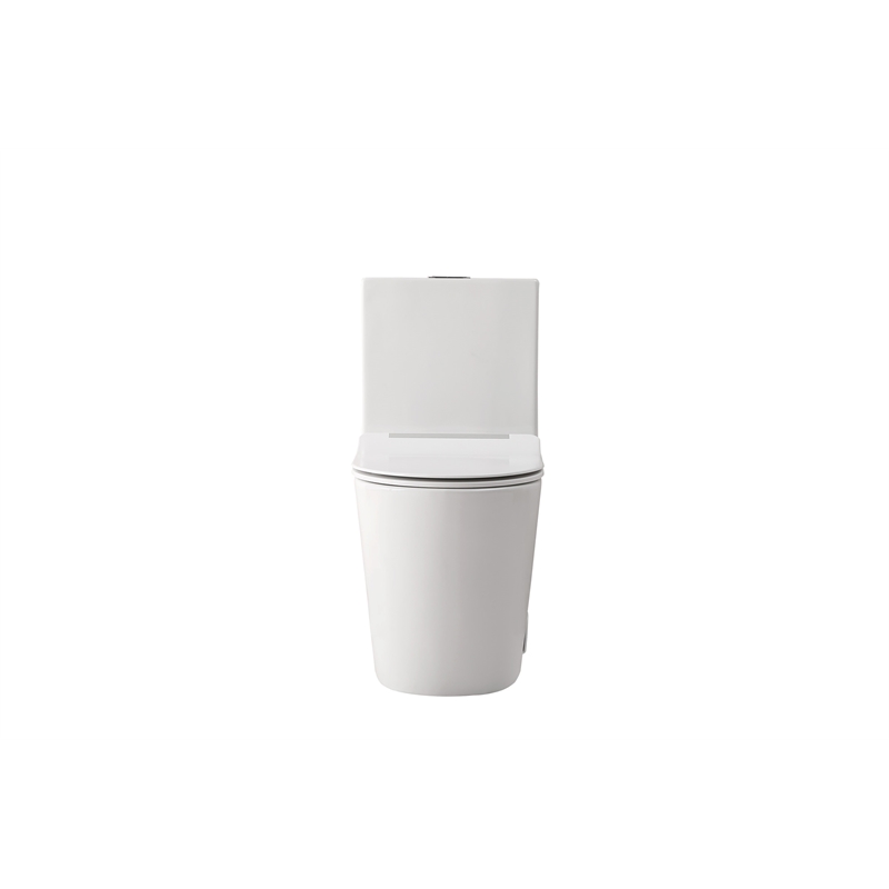 Elegant Kitchen and Bath Winslet Ceramic One-piece Elongated Toilet in White