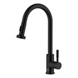 Elegant Kitchen and Bath Sem Stainless Steel Kitchen Faucet in Matte Black