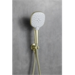 Elegant Kitchen and Bath George Brass Shower Faucet System in Brushed Gold