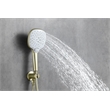 Elegant Kitchen and Bath George Brass Shower Faucet System in Brushed Gold