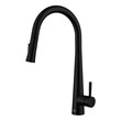 Elegant Kitchen and Bath Lucas Stainless Steel Kitchen Faucet in Matte Black
