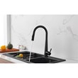 Elegant Kitchen and Bath Lucas Stainless Steel Kitchen Faucet in Matte Black