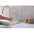 Elegant Kitchen and Bath Rian Stainless Steel Cold Water Dispenser in Gold