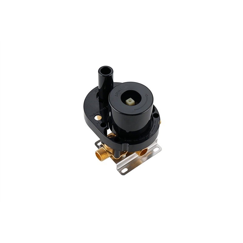 Elegant Kitchen and Bath Petar Brass Shower Faucet System in Black