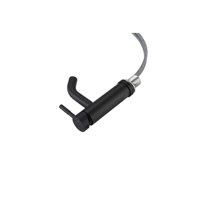 Elegant Kitchen and Bath Victor Stainless Steel Bathroom Faucet in Black