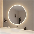Elegant Kitchen and Bath 45 Round Led Front and Backlit Wall Mirror in Silver