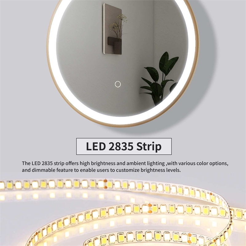 Elegant Kitchen and Bath 24 Round Led Front & Backlit Wall Mirror in Satin Gold