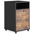Mobile File Cabinet with Lock/2 Drawer Wood Filing for Letter Size Files