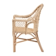 bali & pari Zaira Modern Bohemian Natural Rattan Arm Chair