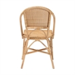 bali & pari Jaylyn Bohemian Natural Rattan Dining Chair