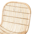 bali & pari Rosalba Light Honey Rattan 2-Piece S-Curve Dining Chair Set