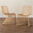 bali & pari Rosalba Light Honey Rattan 2-Piece S-Curve Dining Chair Set