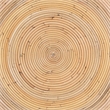 bali & pari Tokyo Laminated Natural Rattan Coffee Table