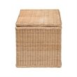 bali & pari Caden Braided Natural Rattan Chest with Lift-top Lid