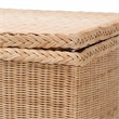 bali & pari Caden Braided Natural Rattan Chest with Lift-top Lid
