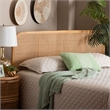 bali & pari Agota Natural Rattan Standalone Queen Headboard