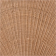 bali & pari Callias Natural Rattan Scalloped Headboard Queen