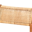 bali & pari Chatura Rattan and Wood 2-Piece Counter Stool Set Counter Height