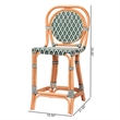 bali & pari Mattie Rattan Bistro Counter Stool Handwoven Accent Seating Green
