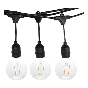 AQ Lighting Plastic Outdoor LED 12 String Light with Edison Bulb in Black