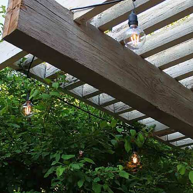 AQ Lighting Plastic Outdoor LED 15 String Light with LED Edison Bulb in Black