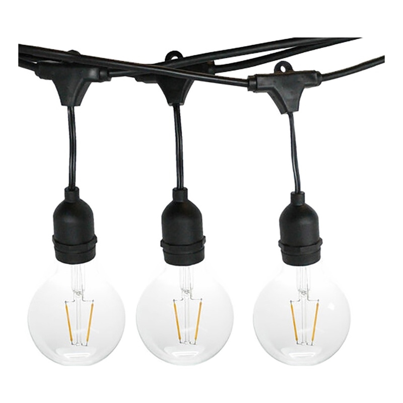AQ Lighting Plastic Outdoor LED 15 String Light with LED Edison Bulb in Black