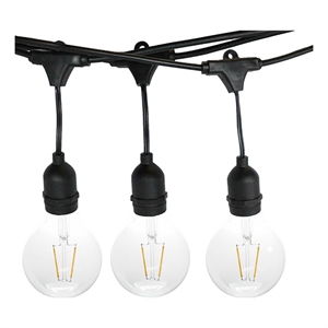 AQ Lighting Plastic Outdoor LED 15 String Light with LED Edison Bulb in Black